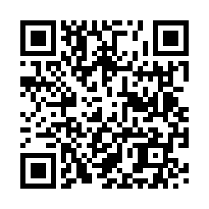 QR code for this build